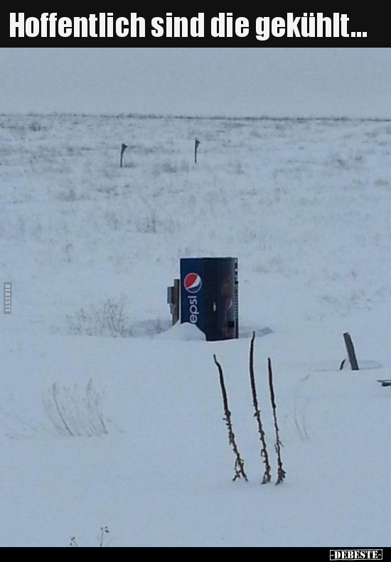 Hoffentlich sind die gekühlt...