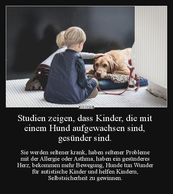 Studien zeigen, dass Kinder, die mit einem Hund.. - Lustige Bilder | DEBESTE.de