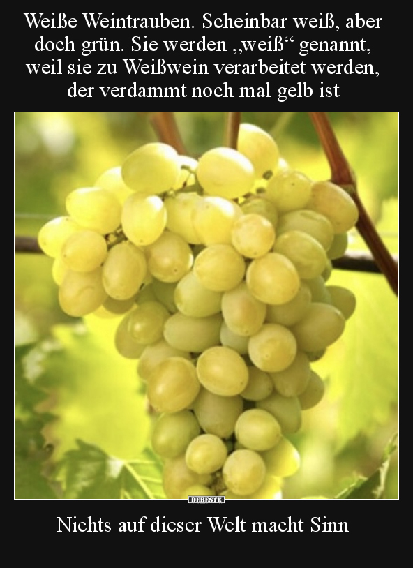 Weiße Weintrauben. Scheinbar weiß, aber doch grün... - Lustige Bilder | DEBESTE.de