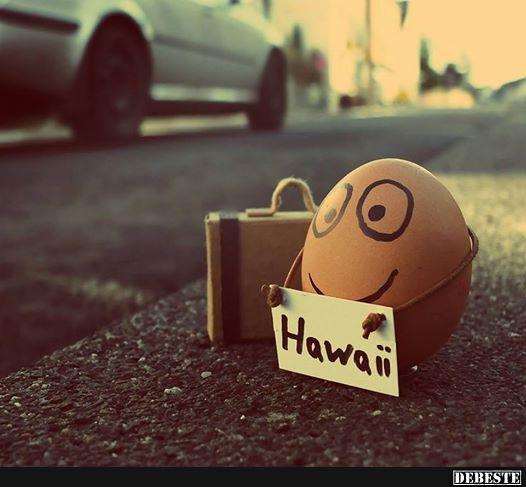 Hawaii - Lustige Bilder | DEBESTE.de