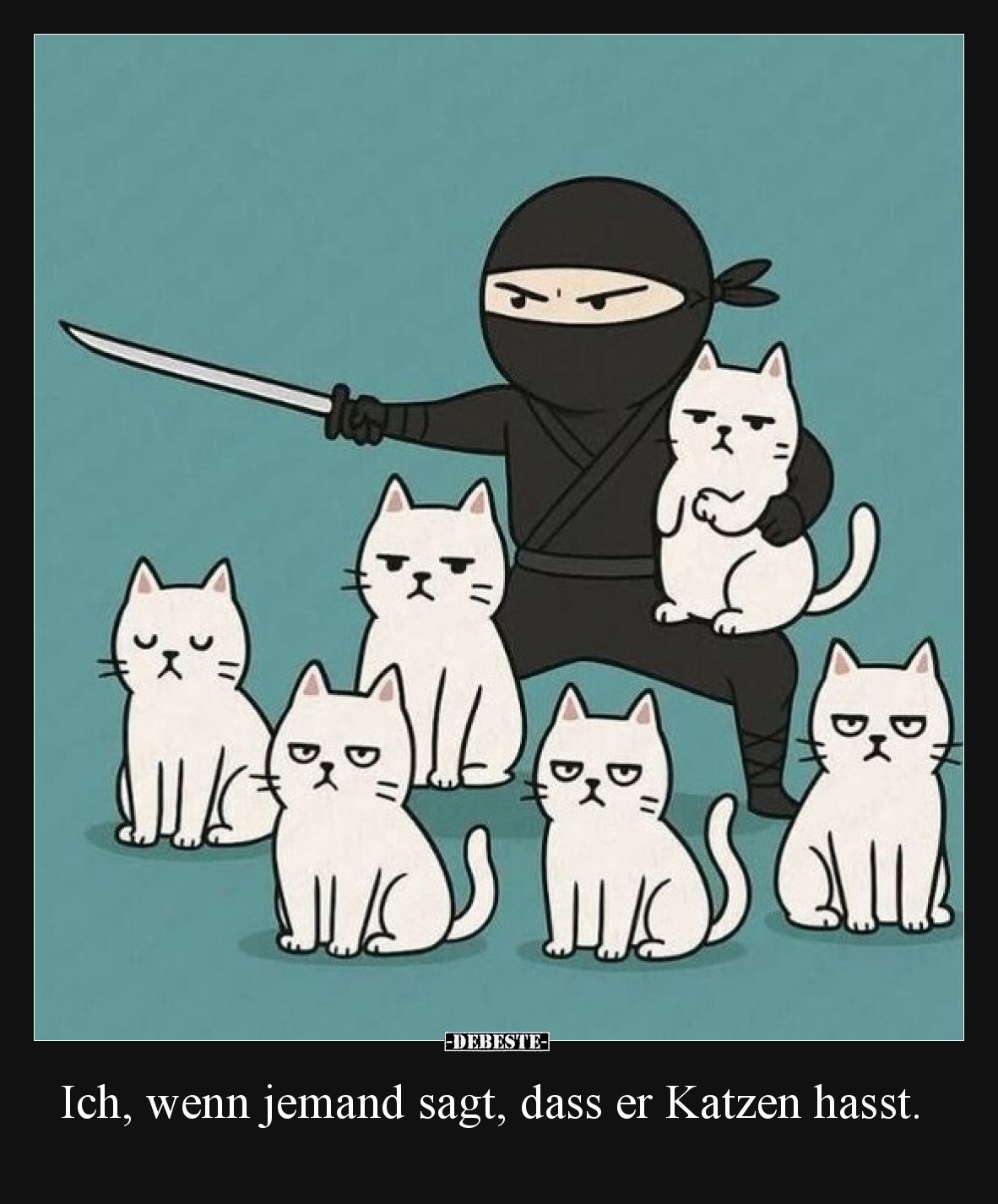 Ich, wenn jemand sagt, dass er Katzen hasst.