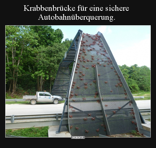 Krabbenbrücke für eine sichere Autobahnüberquerung... - Lustige Bilder | DEBESTE.de