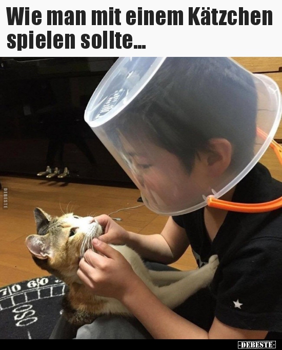 Wie man mit einem Kätzchen spielen sollte... - Lustige Bilder | DEBESTE.de