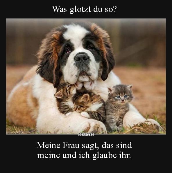 Was glotzt du so? Meine Frau sagt, das sind meine und ich..