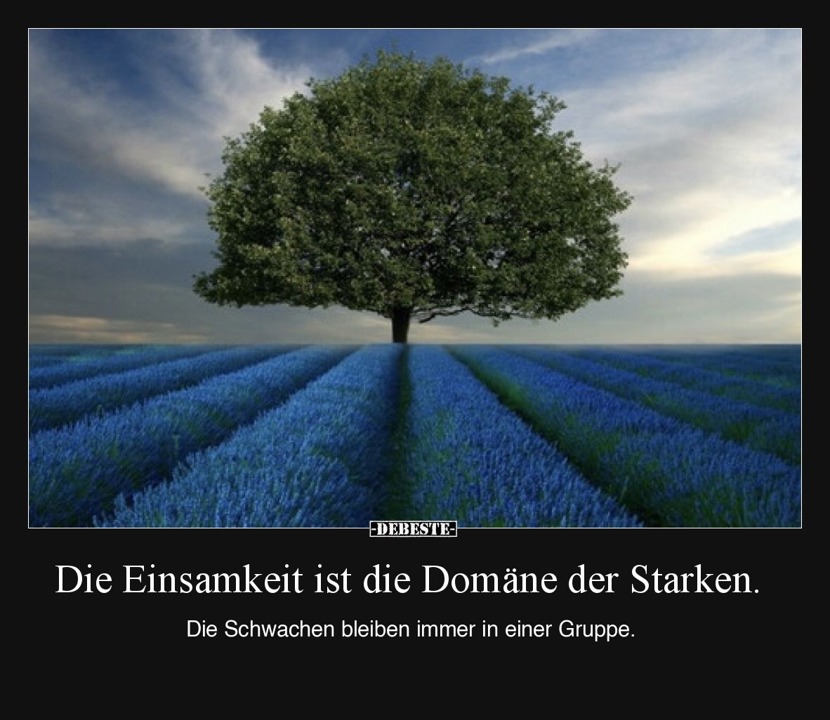 Die Einsamkeit ist die Domäne der Starken.

Die Schwachen bleiben immer in einer Gruppe.