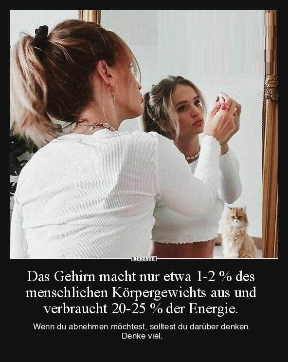 Das Gehirn macht nur etwa 1-2 % des menschlichen.. - Lustige Bilder | DEBESTE.de