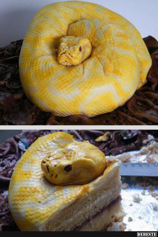 Kuchenzeit! Hammer !