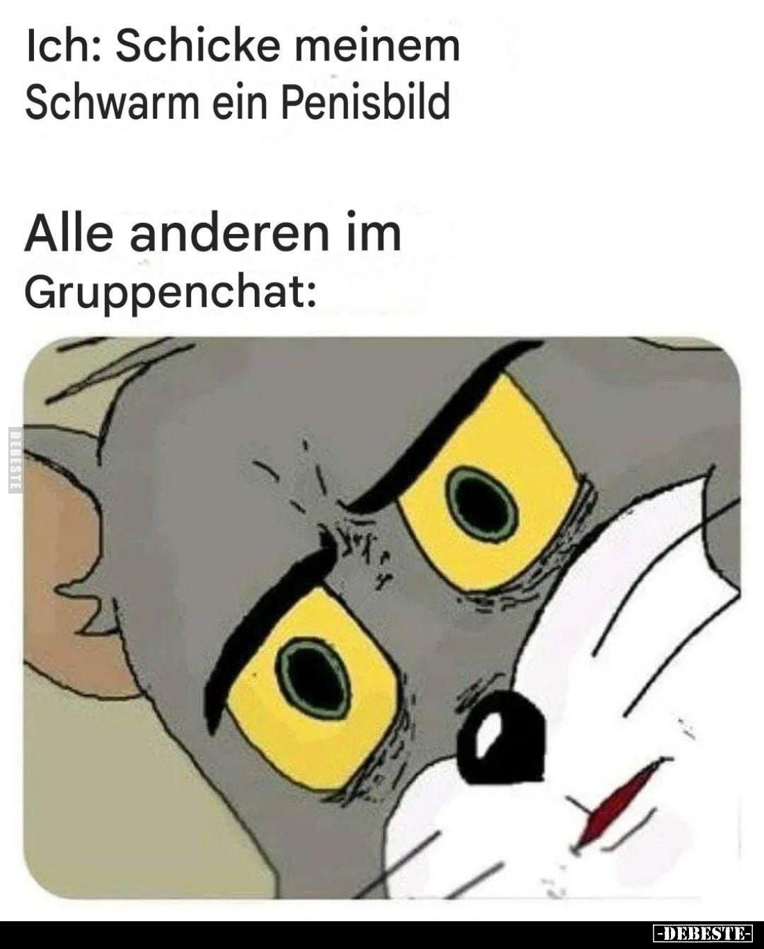 Ich: Schicke meinem Schwarm ein Penisbild. -
Alle anderen im Gruppenchat: