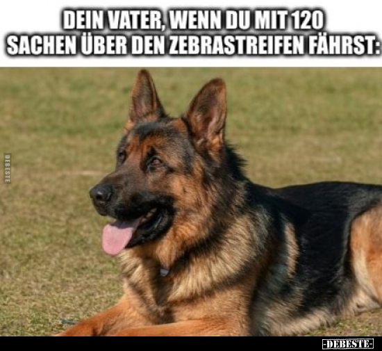 Dein Vater, wenn du mit 120 Sachen über den Zebrastreifen.. - Lustige Bilder | DEBESTE.de