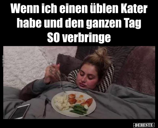 Wenn ich einen üblen Kater habe und den ganzen Tag SO verbringe