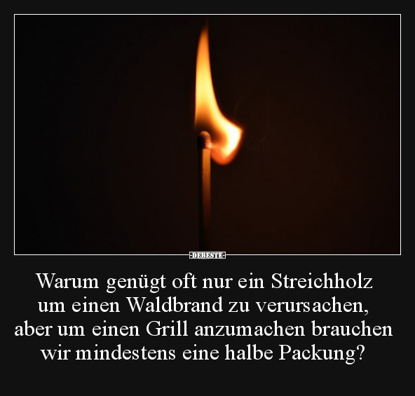 Warum genügt oft nur ein Streichholz um einen Waldbrand zu.. - Lustige Bilder | DEBESTE.de
