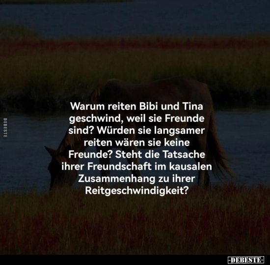 Warum reiten Bibi und Tina geschwind, weil sie Freunde.. - Lustige Bilder | DEBESTE.de