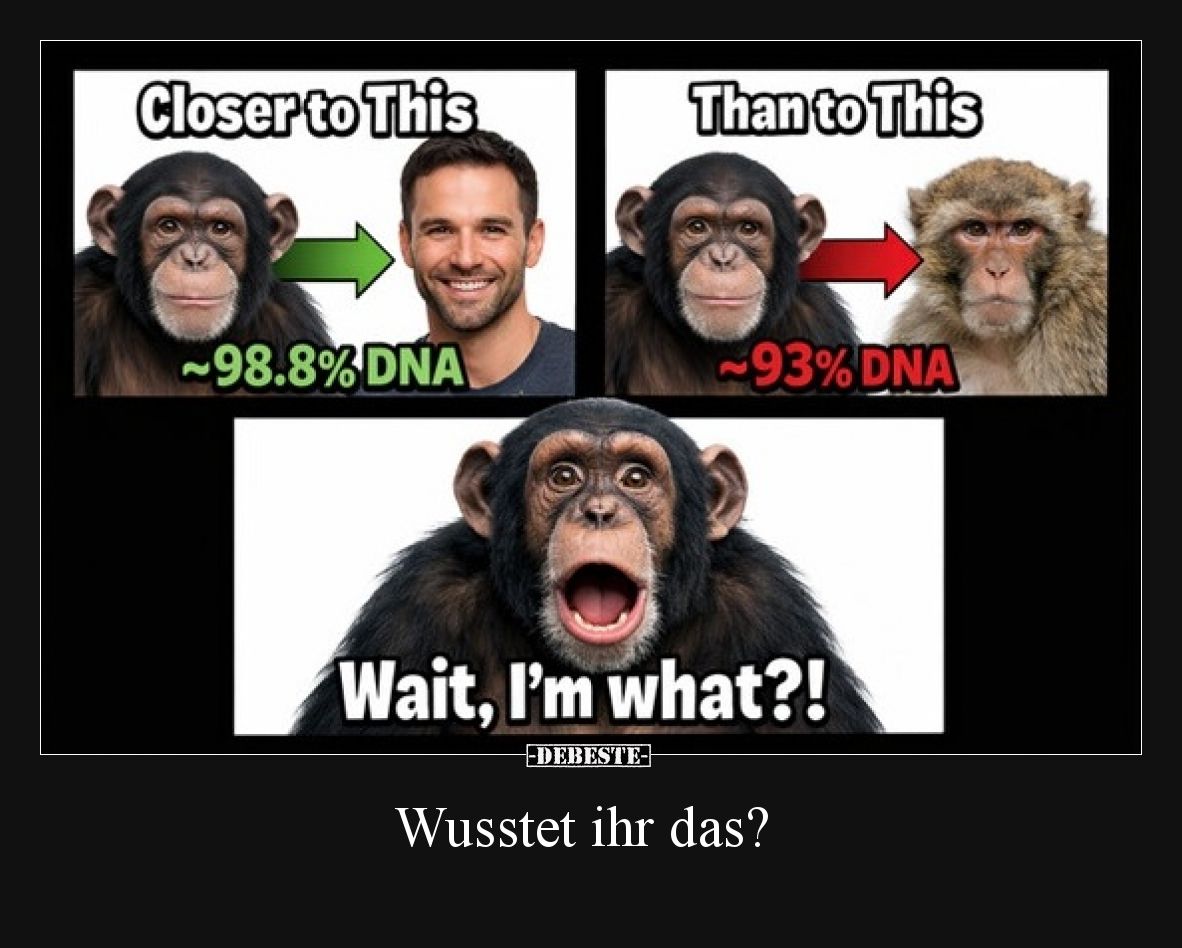 Wusstet ihr das?
