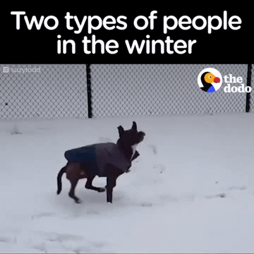 Es gibt zwei Arten von Menschen im Winter.. - Lustige Bilder | DEBESTE.de