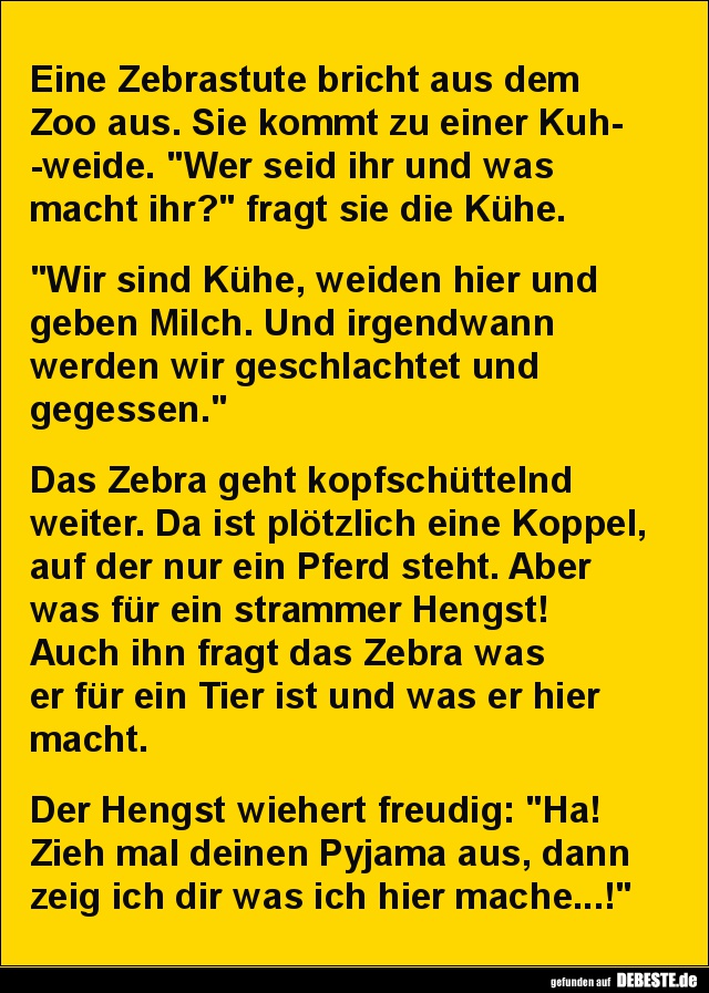 Eine Zebrastute bricht aus dem Zoo aus.. - Lustige Bilder | DEBESTE.de