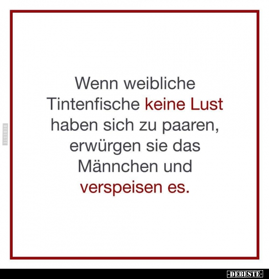 Wenn weibliche Tintenfische keine Lust haben sich zu paaren.. - Lustige Bilder | DEBESTE.de