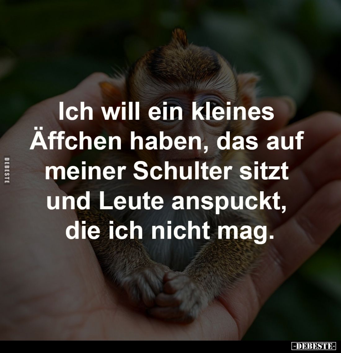 Ich will ein kleines Äffchen 
haben, das auf meiner Schulter 
sitzt und Leute anspuckt, 
die ich nicht mag.