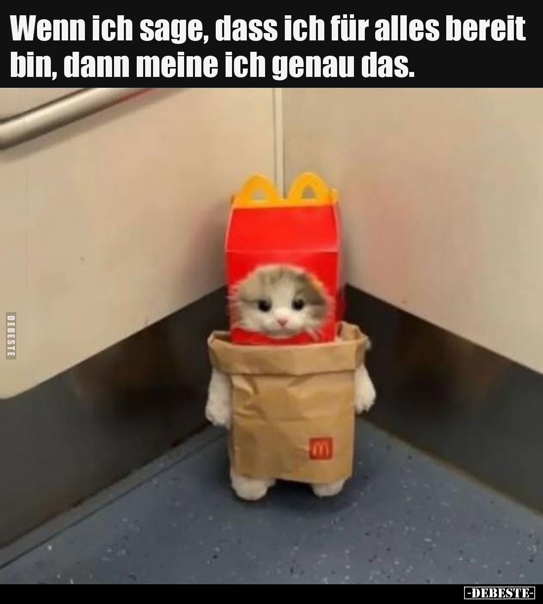 Wenn ich sage, dass ich für alles bereit bin, dann meine ich genau das.