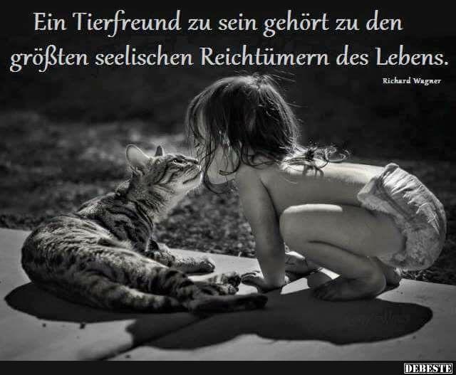 Ein Tierfreund zu sein gehört zu denn größten seelischen.. - Lustige Bilder | DEBESTE.de