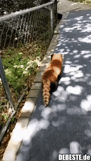 Wir haben sie umstellt!