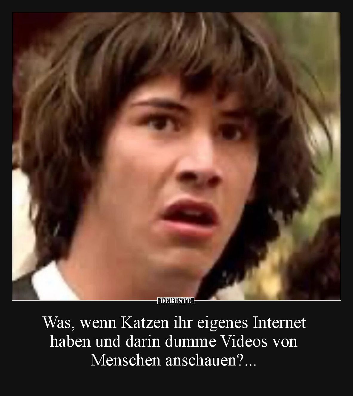 Was, wenn Katzen ihr eigenes Internet haben und darin.. - Lustige Bilder | DEBESTE.de