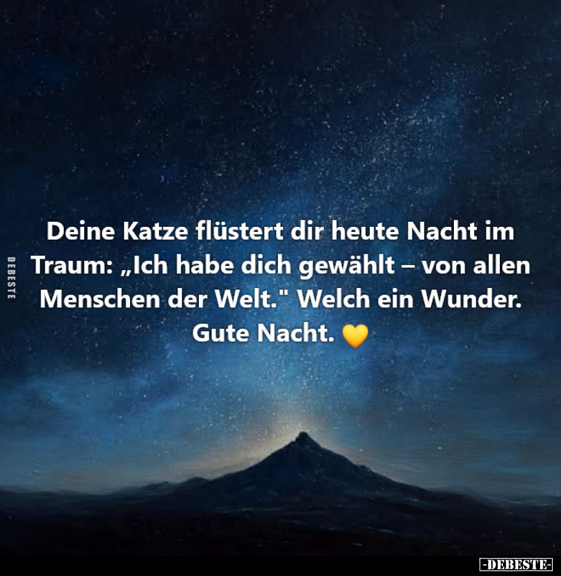 Deine Katze flüstert dir heute Nacht im Traum: „Ich habe dich gewählt – von allen Menschen der Welt." Welch ein Wunder....