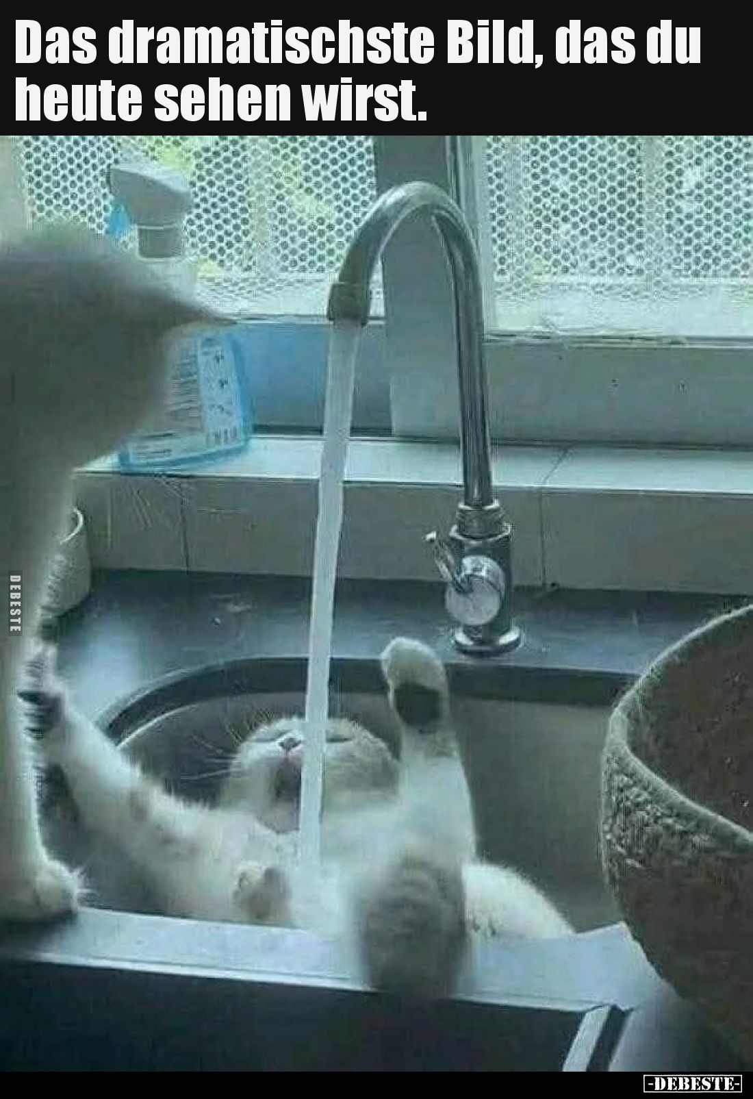 Das dramatischste Bild, das du heute sehen wirst.