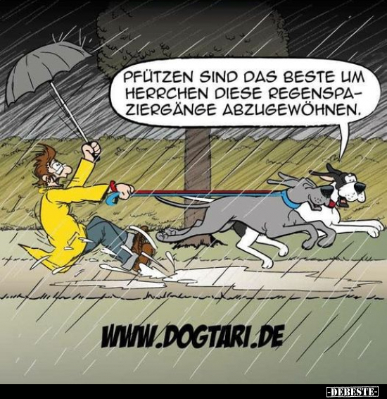 Pfützen sind das Beste um Herrchen diese Regenspaziergänge.. - Lustige Bilder | DEBESTE.de