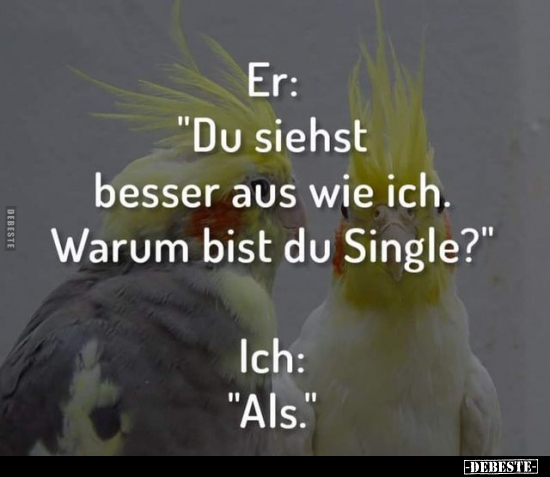 Er: "Du siehst besser aus wie ich. Warum bist du Single?".. - Lustige Bilder | DEBESTE.de