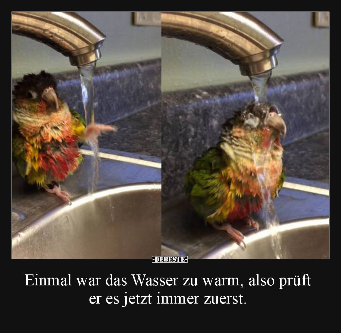 Einmal war das Wasser zu warm, also prüft er es jetzt immer zuerst.