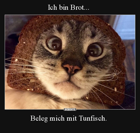 Ich bin Brot... Beleg mich mit Tunfisch. - Lustige Bilder | DEBESTE.de