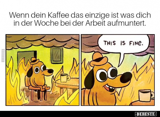 Wenn dein Kaffee das einzige ist was dich in der Woche.. - Lustige Bilder | DEBESTE.de