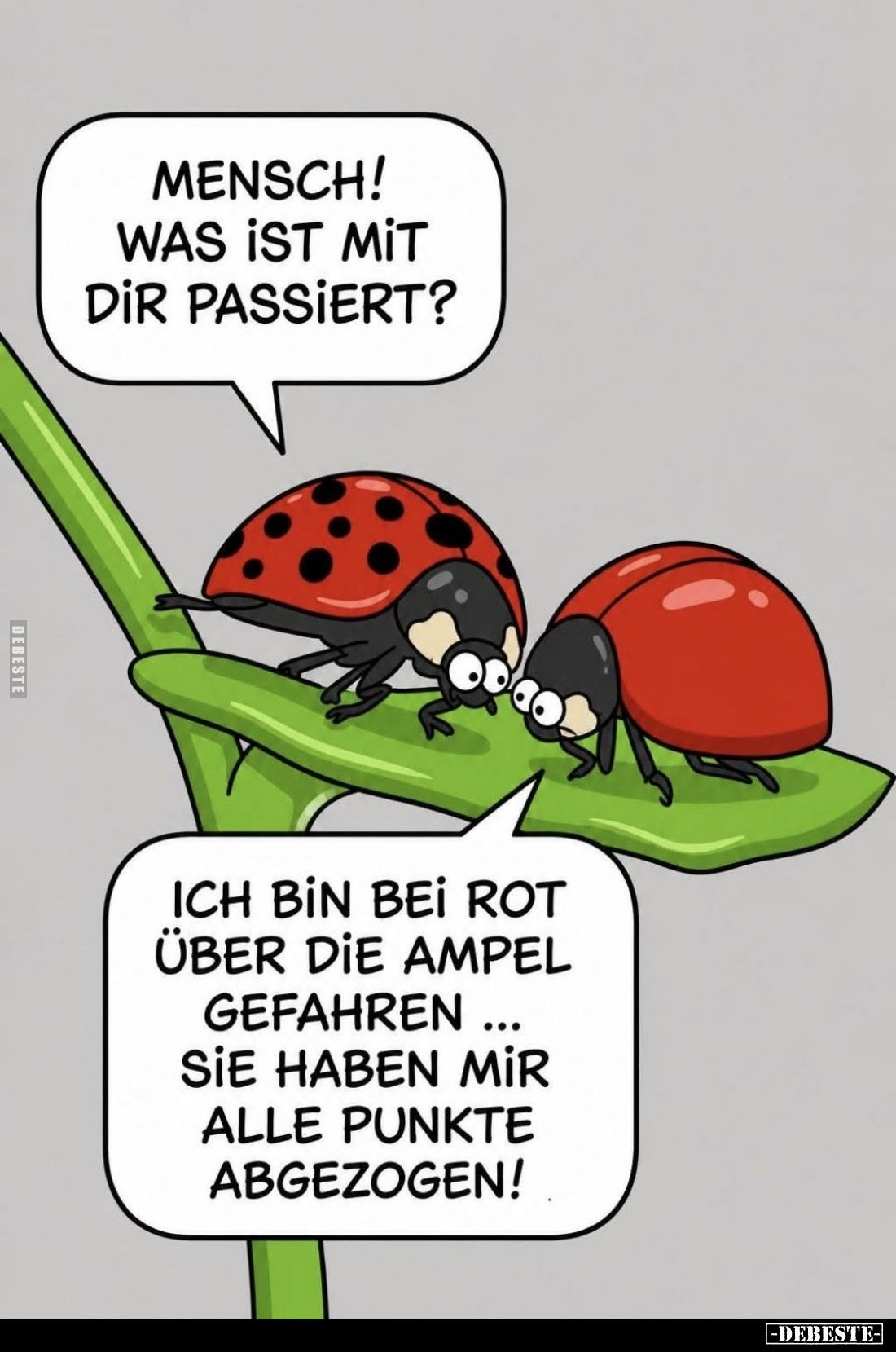 Mensch! Was ist mit dir passiert? -
Ich bin bei rot über die Ampel gefahren sie haben mir alle Punkte abgezogen!