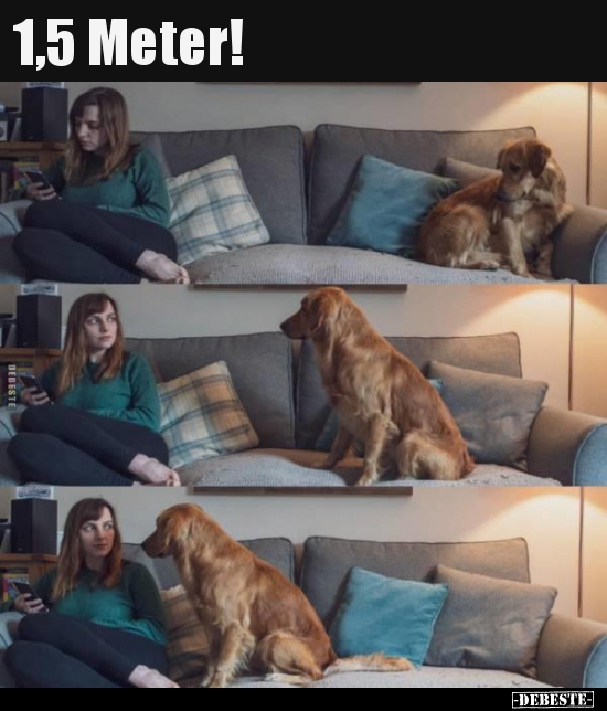 1,5 Meter!..