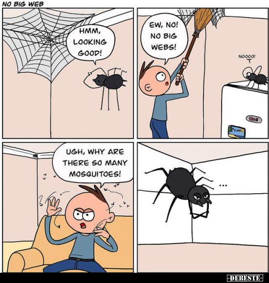 HMM, LOOKING GOOD!
EW, NO! NO BIG WEBS!