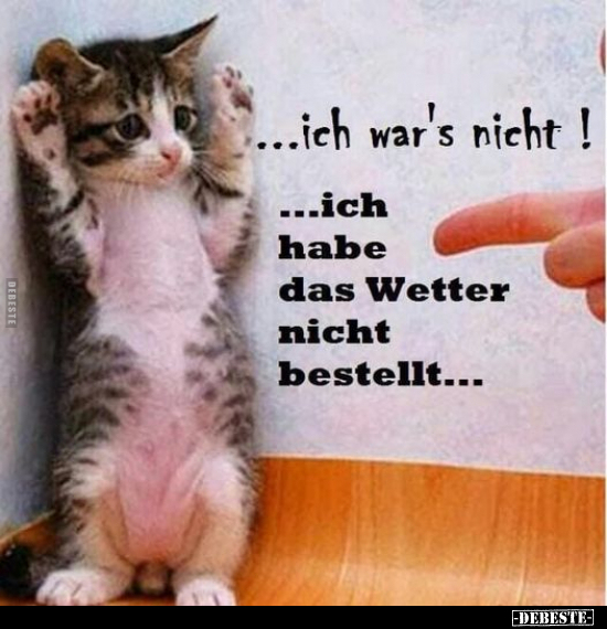 ...ich war's nicht!