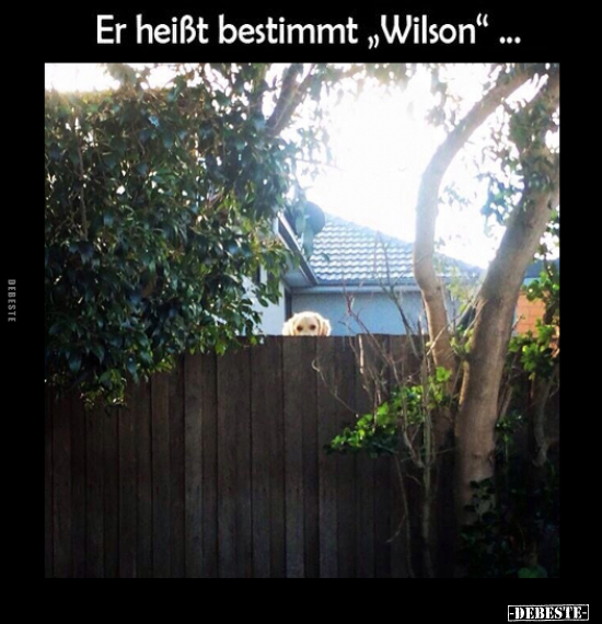 Er heißt bestimmt "Wilson"... - Lustige Bilder | DEBESTE.de