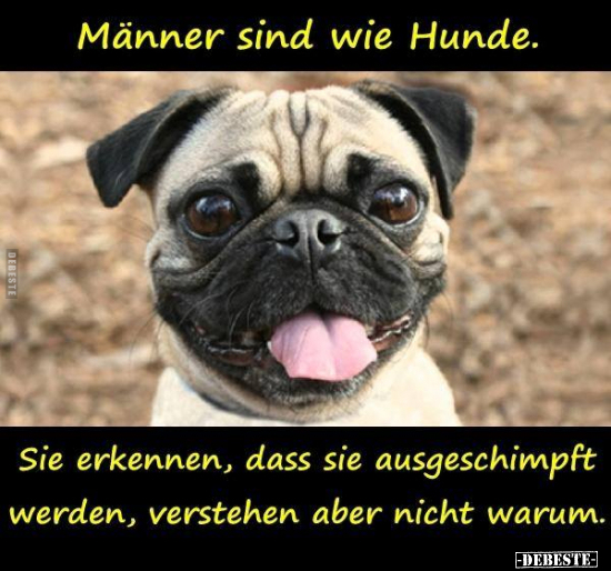 Männer sind wie Hunde... - Lustige Bilder | DEBESTE.de