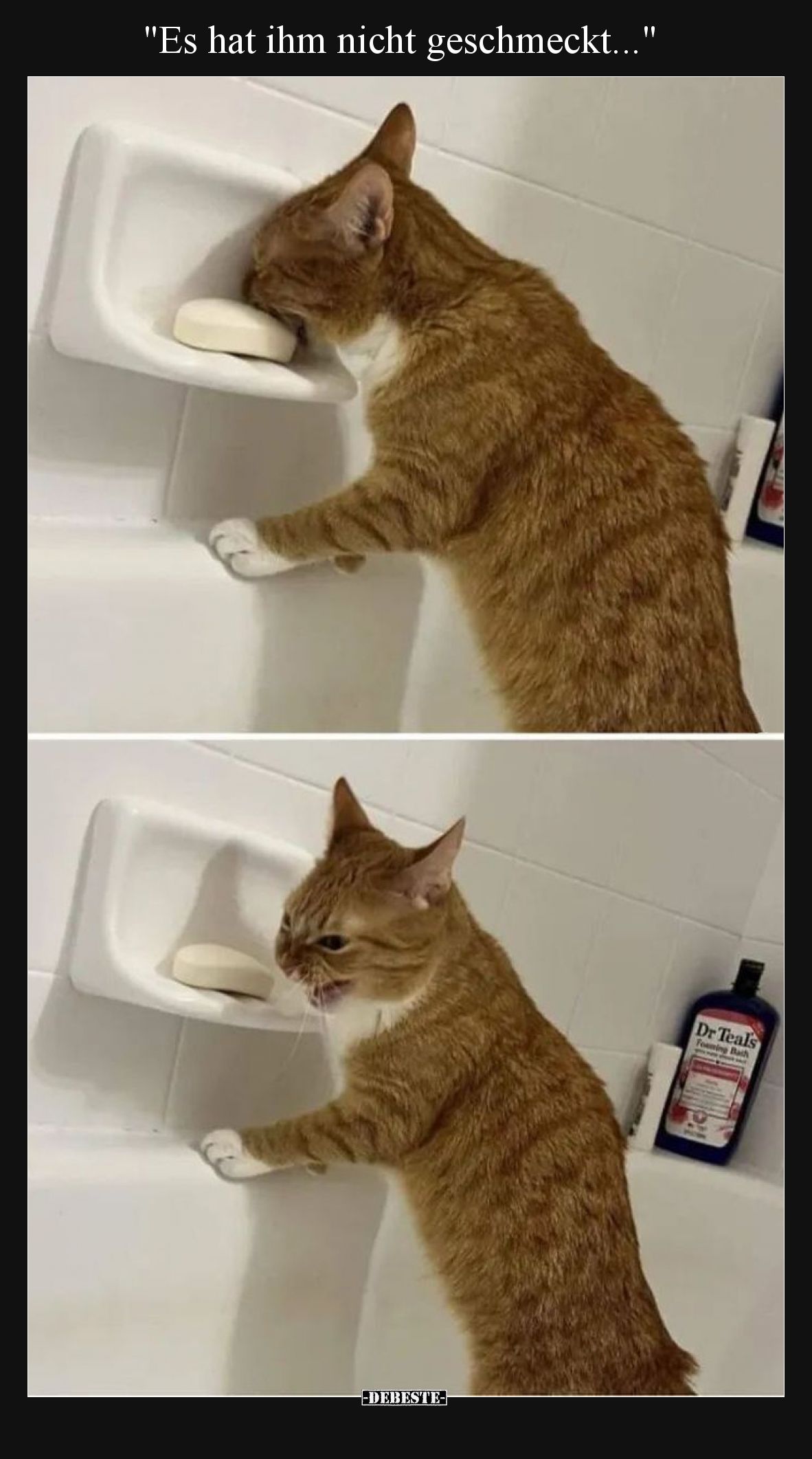 Es hat ihm nicht geschmeckt.