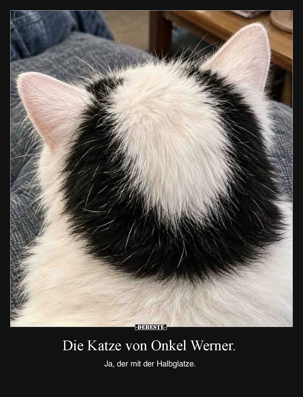 Die Katze von Onkel Werner... - Lustige Bilder | DEBESTE.de