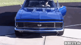  - Lustige Bilder | DEBESTE.de