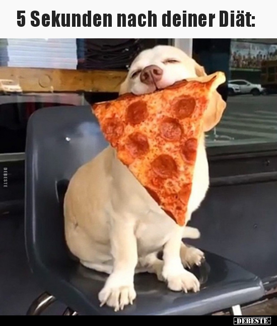 5 Sekunden nach deiner Diät..