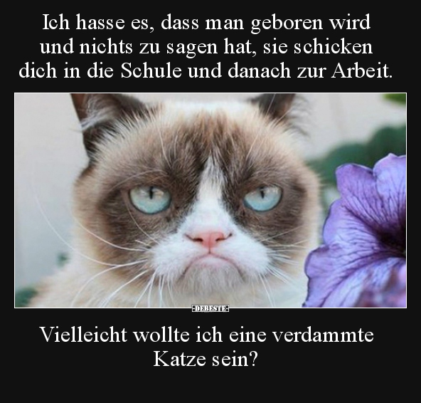 Ich hasse es, dass man geboren wird und nichts zu sagen..