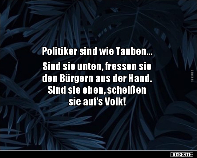 Politiker sind wie Tauben... Sind sie unten, fressen.. - Lustige Bilder | DEBESTE.de