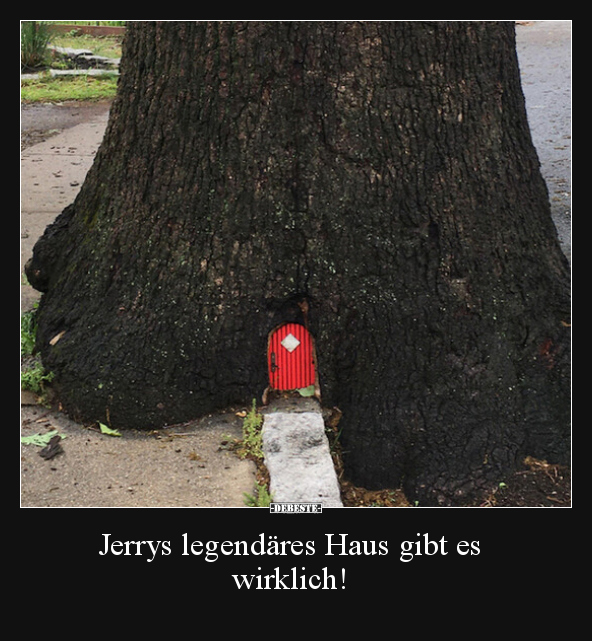 Jerrys legendäres Haus gibt es wirklich!.. - Lustige Bilder | DEBESTE.de