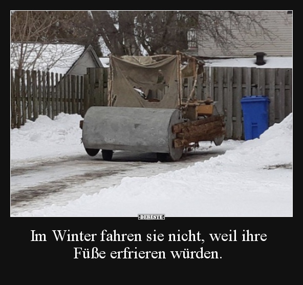 Im Winter fahren sie nicht, weil ihre Füße erfrieren.. - Lustige Bilder | DEBESTE.de