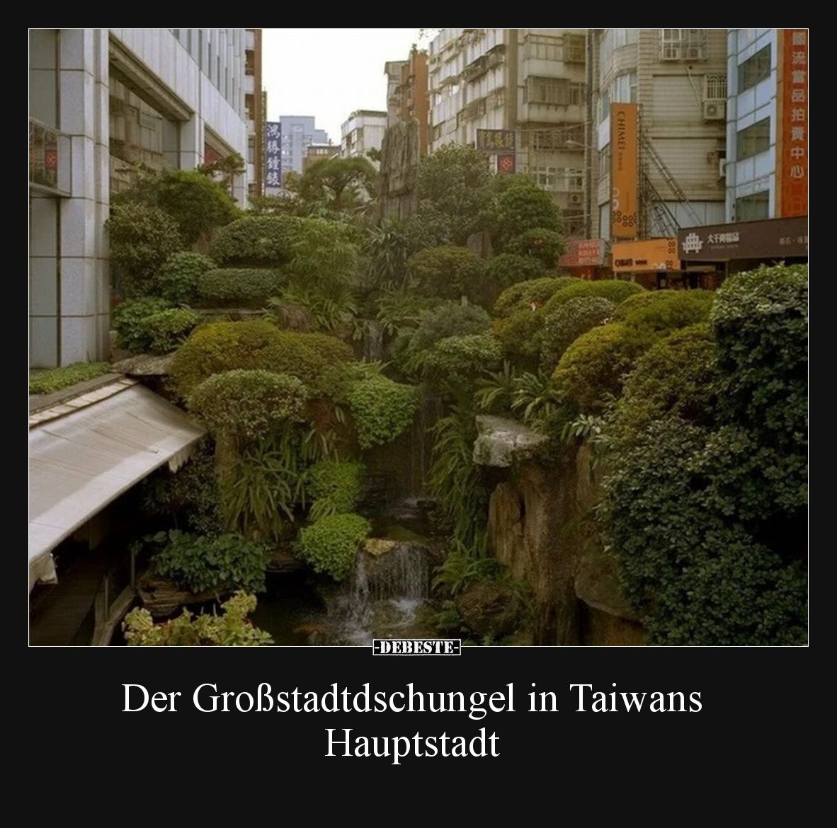 Der Großstadtdschungel in Taiwans Hauptstadt.. - Lustige Bilder | DEBESTE.de
