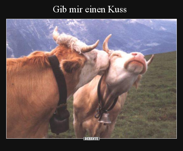 Gib mir einen Kuss.. - Lustige Bilder | DEBESTE.de