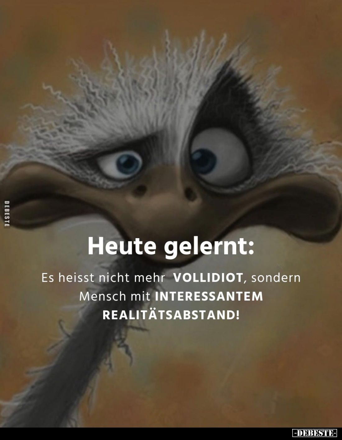 Heute gelernt:
Es heisst nicht mehr VOLLIDIOT, sondern Mensch mit INTERESSANTEM REALITÄTSABSTAND!