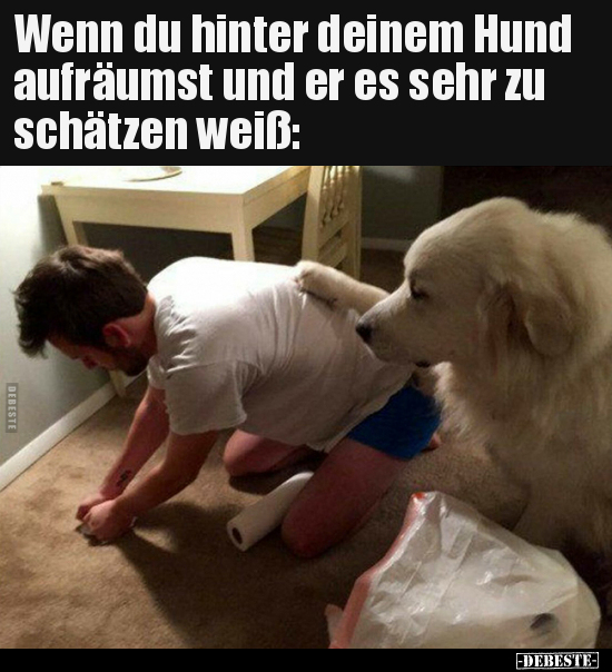 Wenn, Sehr, Hund